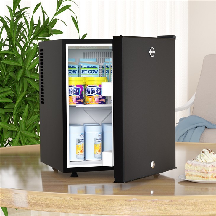 30L Mini Fridge For Bedroom - Office Desk & College Dorm Room